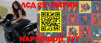 гидра Новозыбков