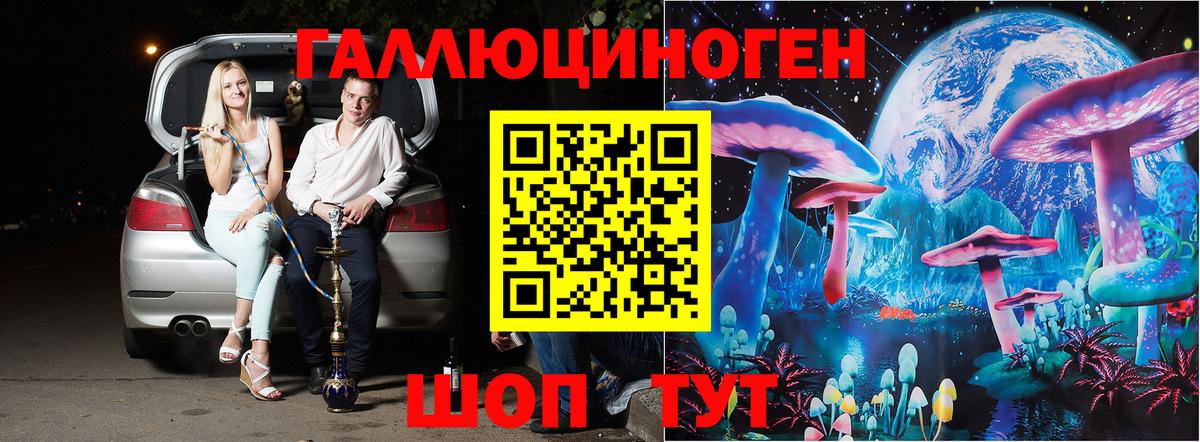 Хасавюрт  Псилоцибиновые грибы ЛСД  Вход с VPN  Галлюциногенные грибы GOLDEN TEACHER 